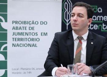 Câmara debate projeto que proíbe o abate de jumentos no país