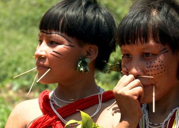 Mais da metade dos yanomami vive em risco de saúde