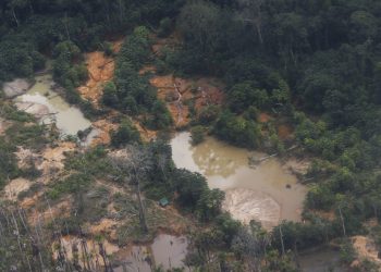 Voos clandestinos em terra yanomami caem 90% após operação especial