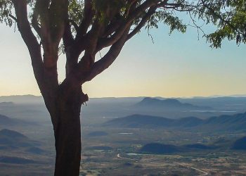 Parque Nacional da Serra do Teixeira é criado na Paraíba