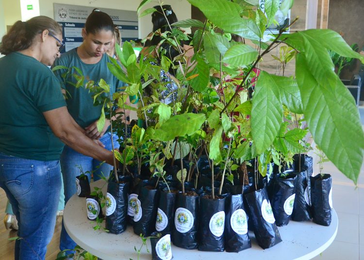 Núcleo Socioambiental Permanente da Justiça acreana promove Semana do Meio Ambiente