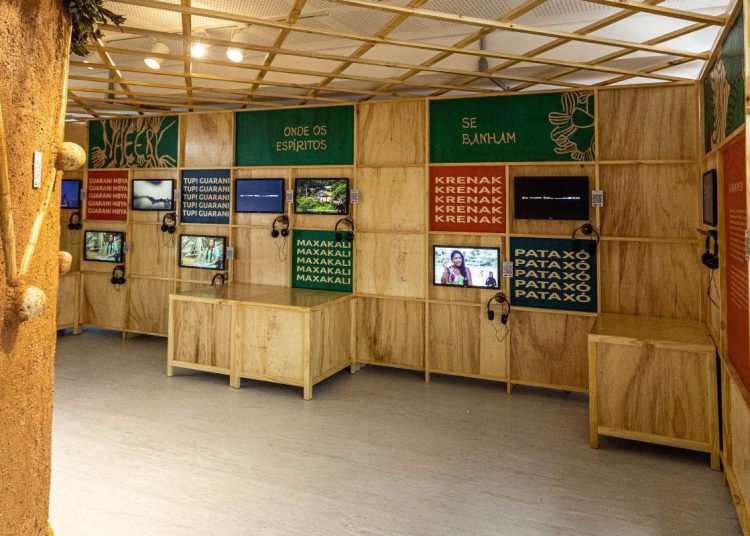 Exposição sensorial sobre a Mata Atlântica permite sentir a floresta