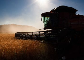 Governo faz ajustes em programas de concessão de crédito rural