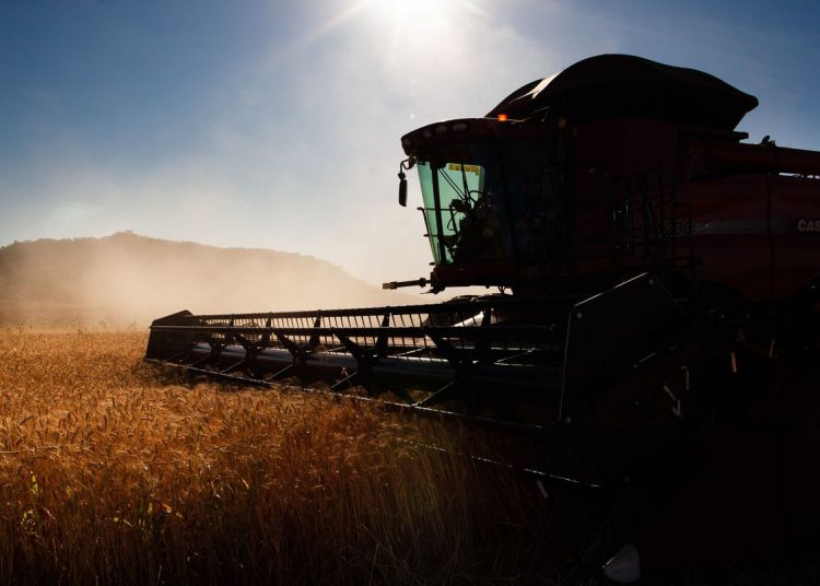 Governo faz ajustes em programas de concessão de crédito rural