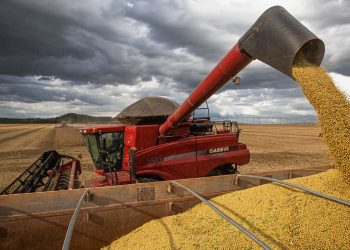 Conab estima safra recorde de 317,6 milhões de toneladas em 2023