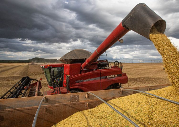 Conab estima safra recorde de 317,6 milhões de toneladas em 2023