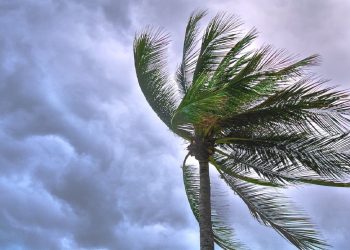 Inmet emite alerta para perigo de rajadas de vento em mais de 110 municípios da Paraíba