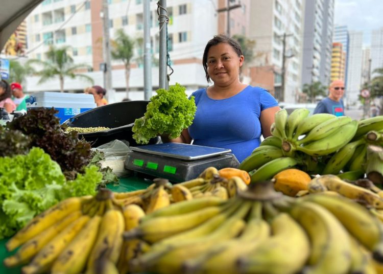 Prefeitura de João Pessoa promove II Semana da Agricultura Familiar, a partir desta segunda-feira