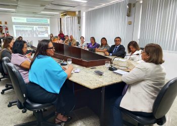 Representantes de órgãos estaduais conhecem funcionamento dos serviços da Casa da Mulher Brasileira