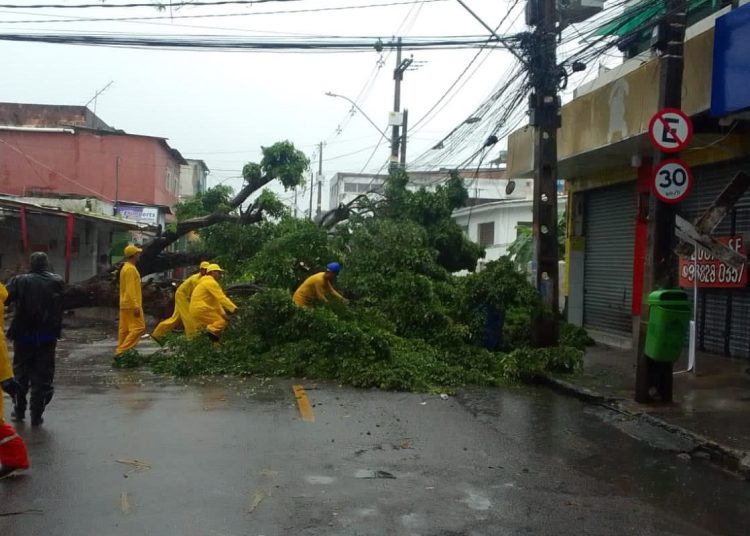 FGTS será liberado para trabalhadores atingidos por chuvas em AL e PE