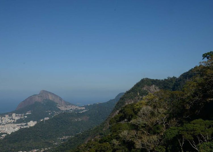 Parque Nacional da Tijuca completa 62 anos