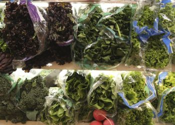 Frio influencia preços de frutas e hortaliças no atacado