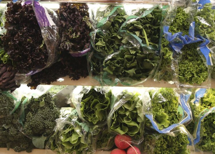 Frio influencia preços de frutas e hortaliças no atacado