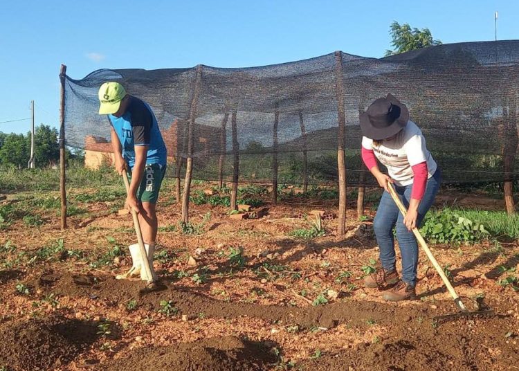 Trabalhadores pedem redução de juros para produzir alimentos no Brasil Trabalhadores pedem redução de juros para produzir alimentos no Brasil